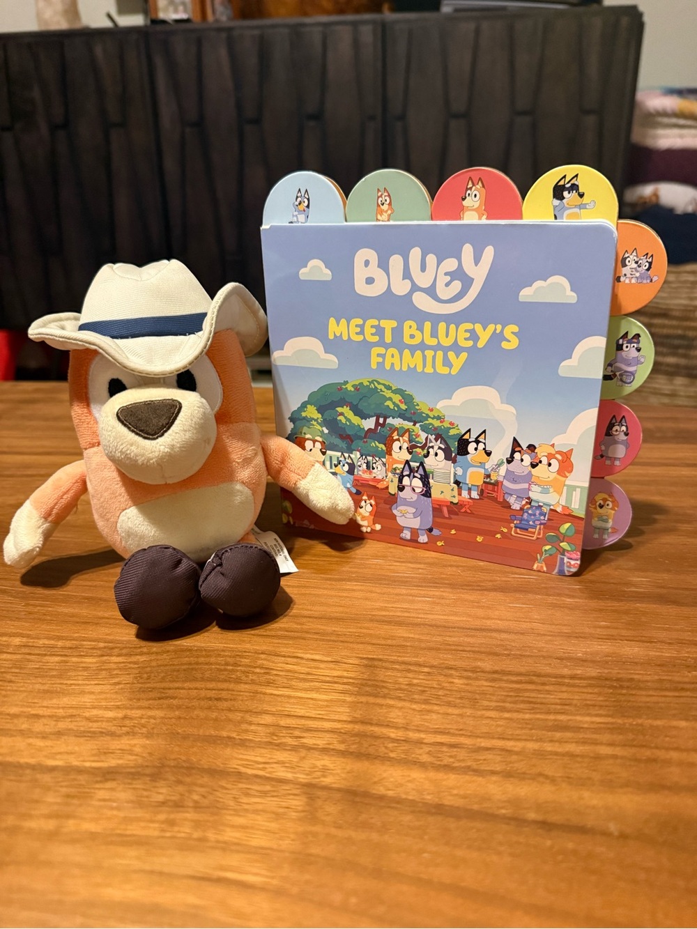 Bluey Set - Meet Bluey’s Family Board Book and Bingo Plush Toy